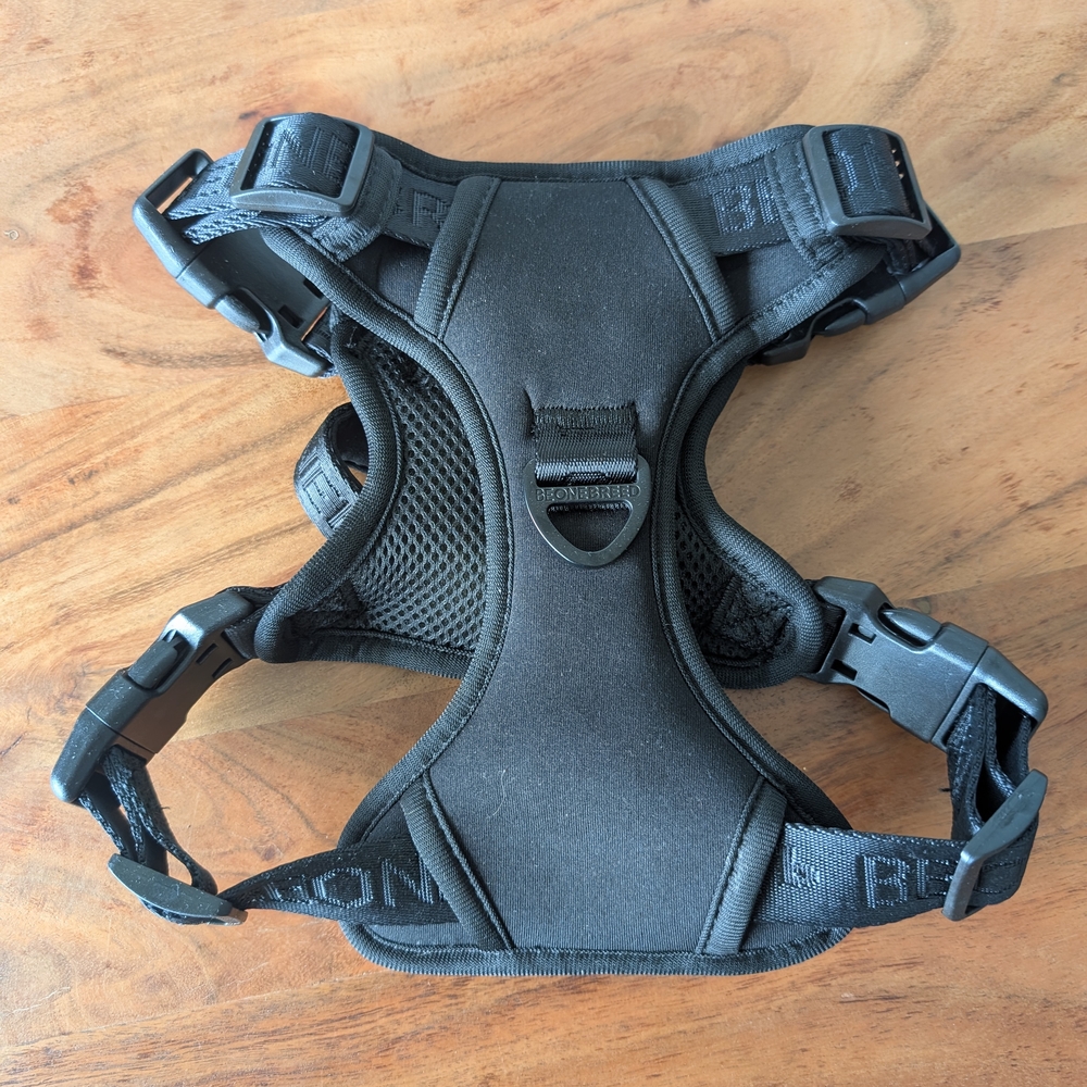 Black Dog Harness